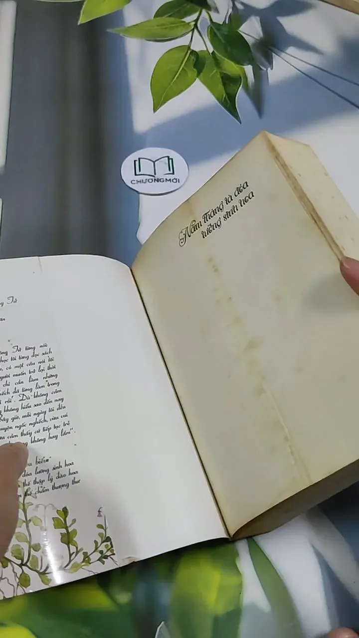 Năm Tháng Là Đoá Lưỡng Sinh Hoa - Đường Thất Công Tử 705692