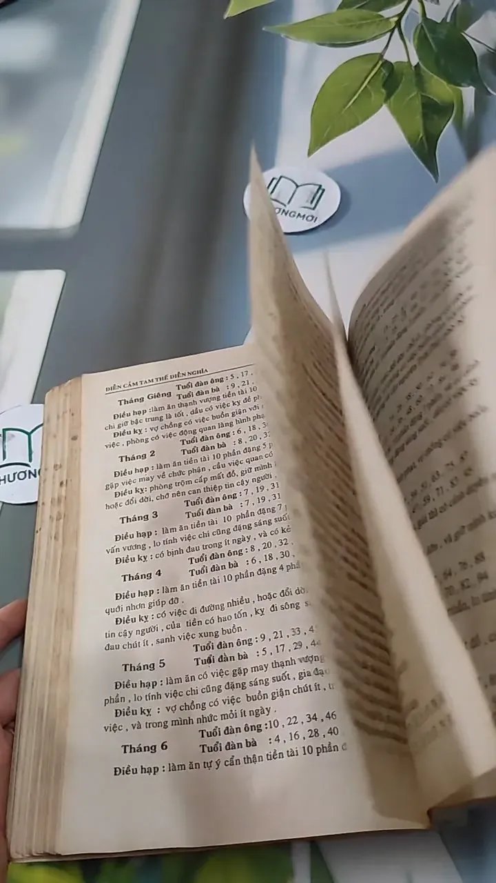 Diễn Cầm Tam Thế (Diễn Cầm Tam Thế) 727288