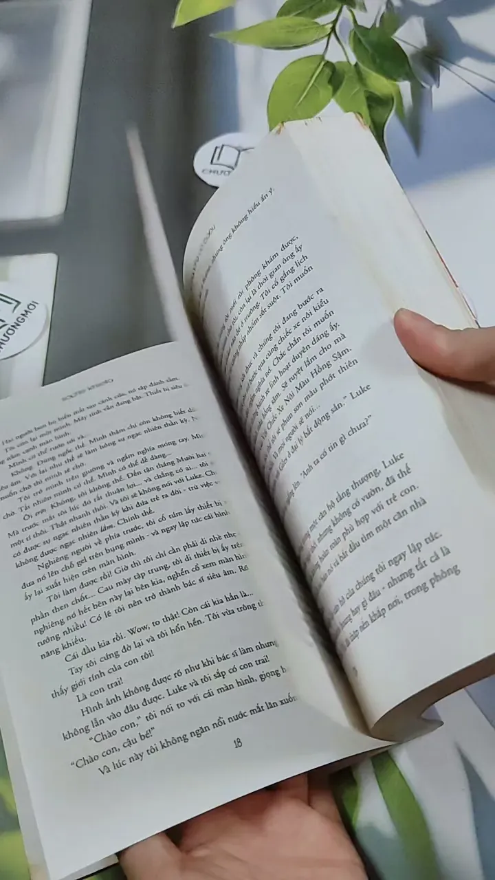 Tín Đồ Shopping Có Baby - Sophie Kinsella 744778