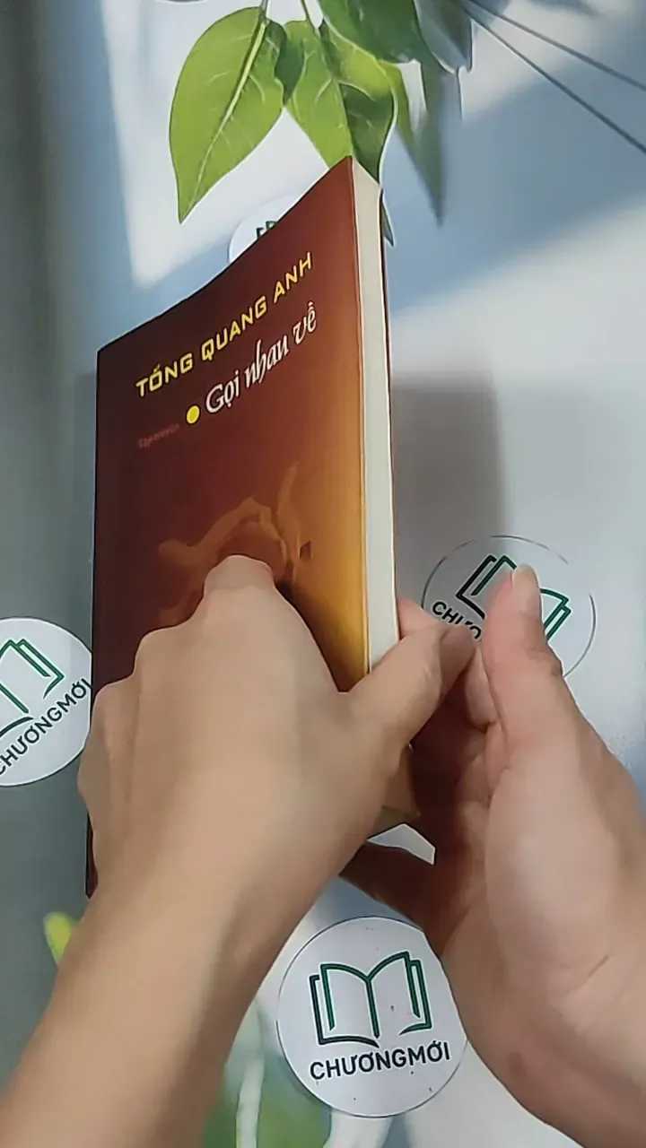 Gọi nhau về - Tống Quang Anh 688673