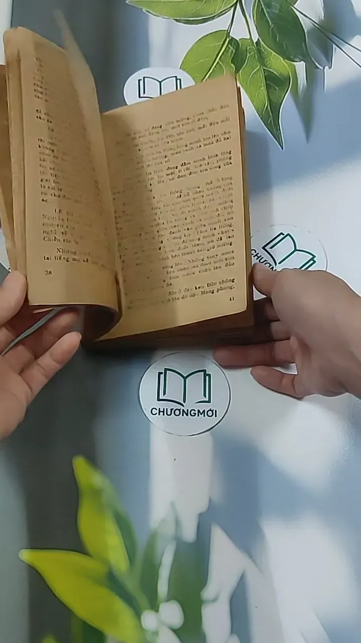 Tuổi Xanh Nguyễn Đình Chiểu (1987) - Thái Vũ 674974