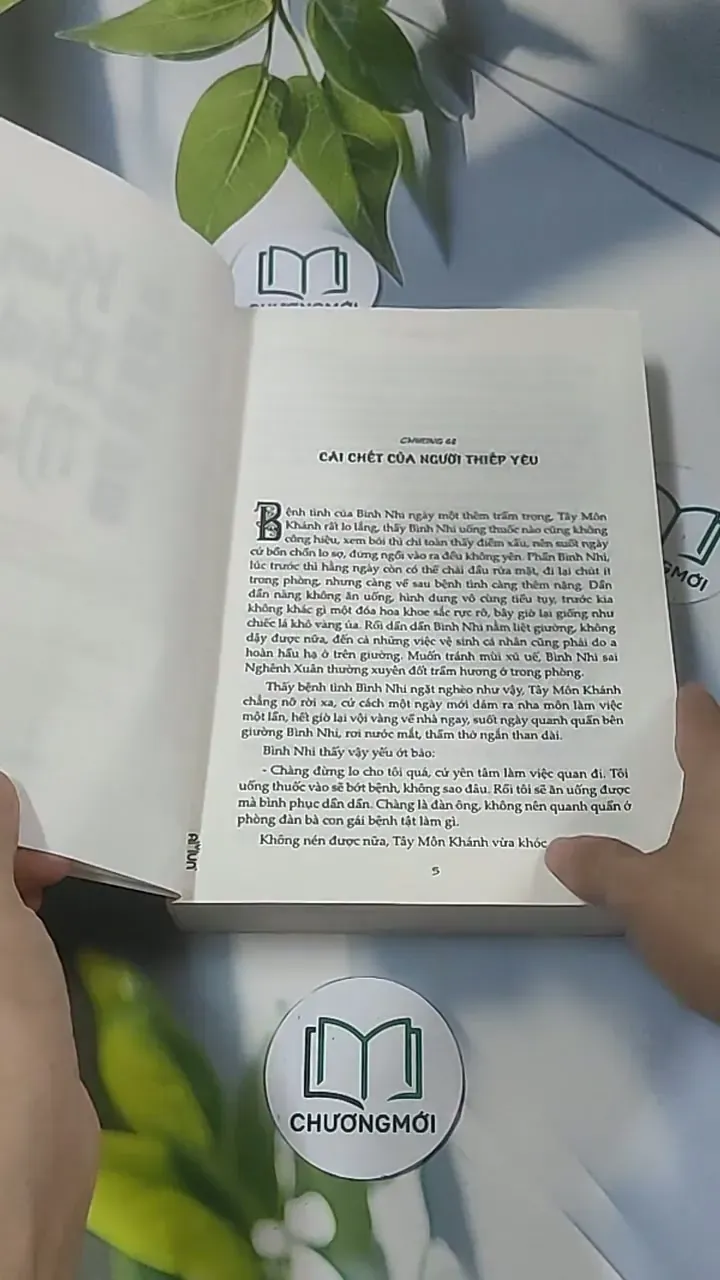 Kim Bình Mai 2 688580