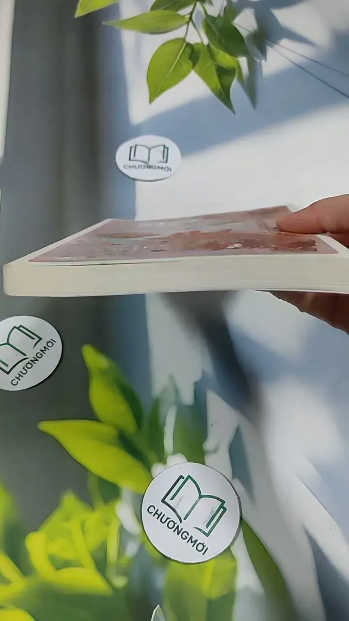 Việt Nam Của Tôi - Những Câu Chuyện Nhận Con Nuôi 705739