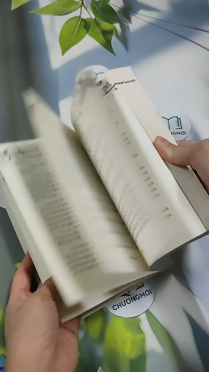 Mở Lòng Và Yêu Đi 707314