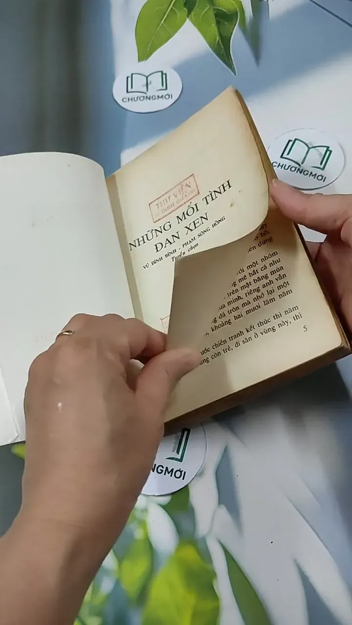 Những Mối Tình Đan Xen - Vũ Đình Bình - Phạm Sông Hồng 713835