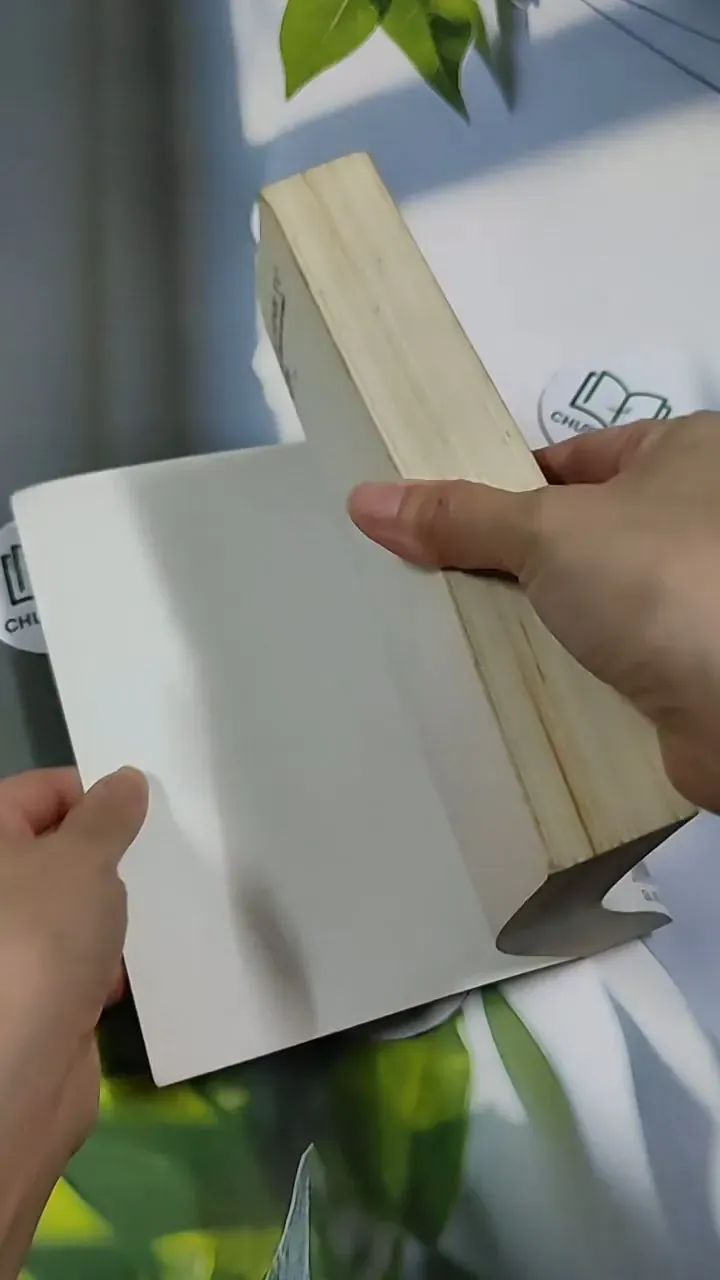 Tạng Thư Sinh Tử - Sogyal Rinpoche 705658