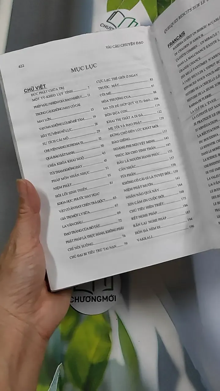 Vài câu chuyện Đạo (Song ngữ Việt - Pháp) 776202