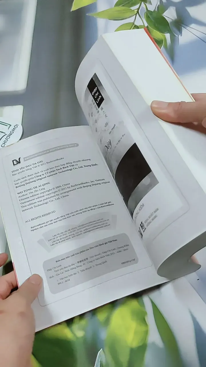 Tình Yêu Đau Dạ Dày - Điệp Chi Linh 744771