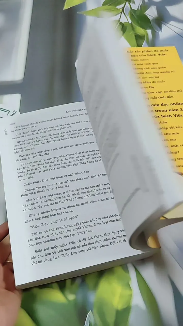 Bảo Vật Giang Hồ - Tô Tố 744769