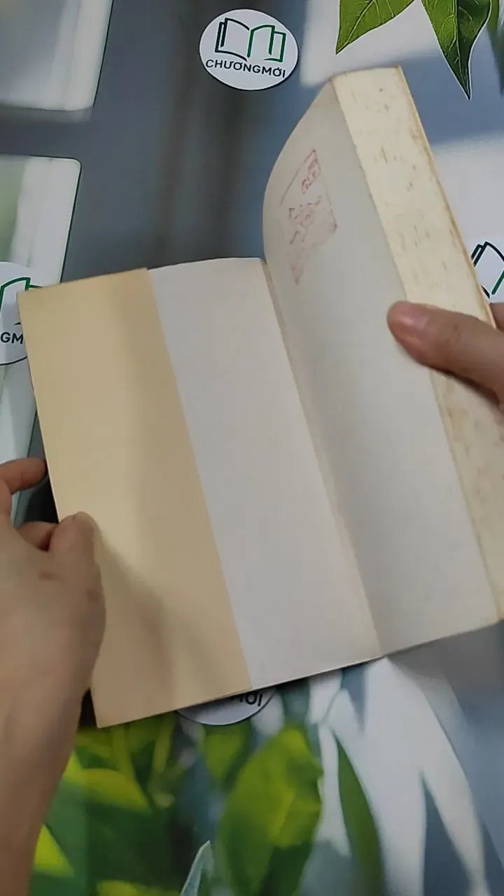 [MIỄN PHÍ BỌC SÁCH] Ma première femme - Yann Queffélec 754529