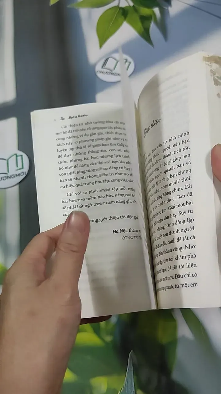 Luyện Trí Nhớ - Alpha Books 787052