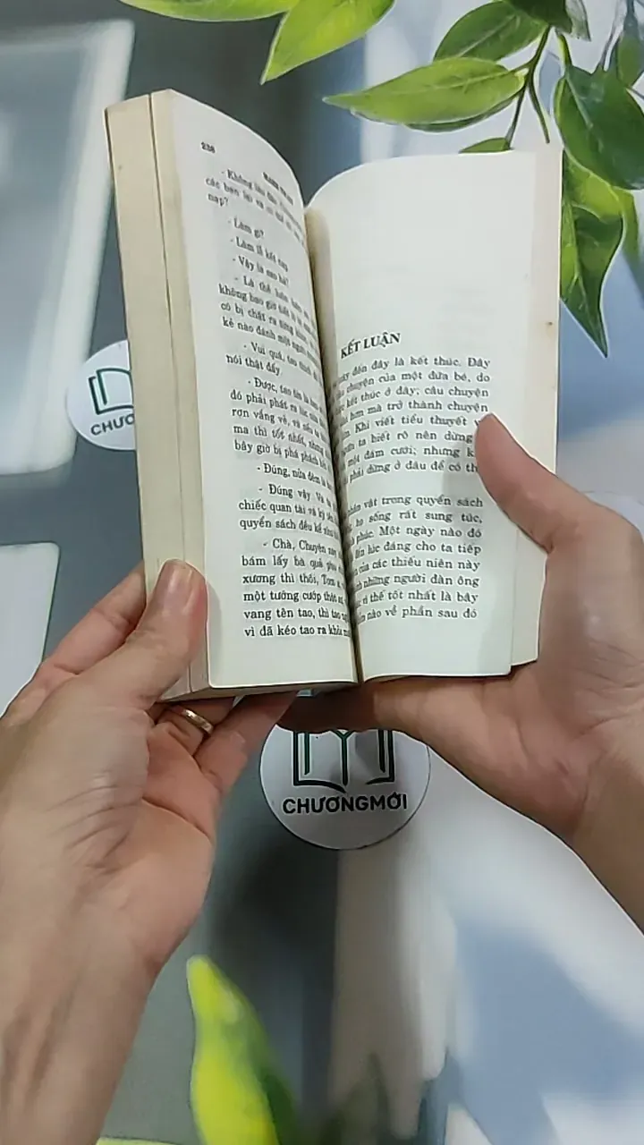 Những Cuộc Phiêu Lưu Của Tom Sawyer 604591