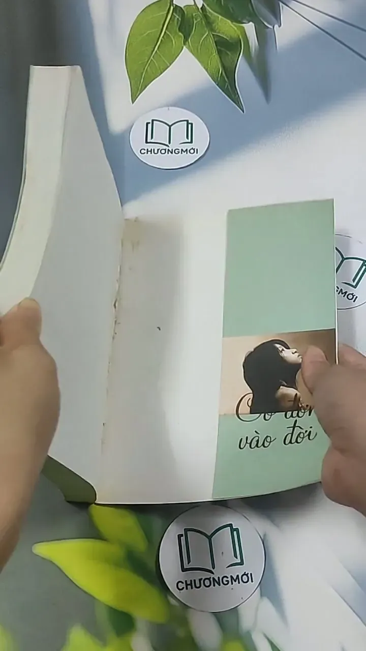 Cô đơn vào đời - Dịch Phấn Hàn 694970