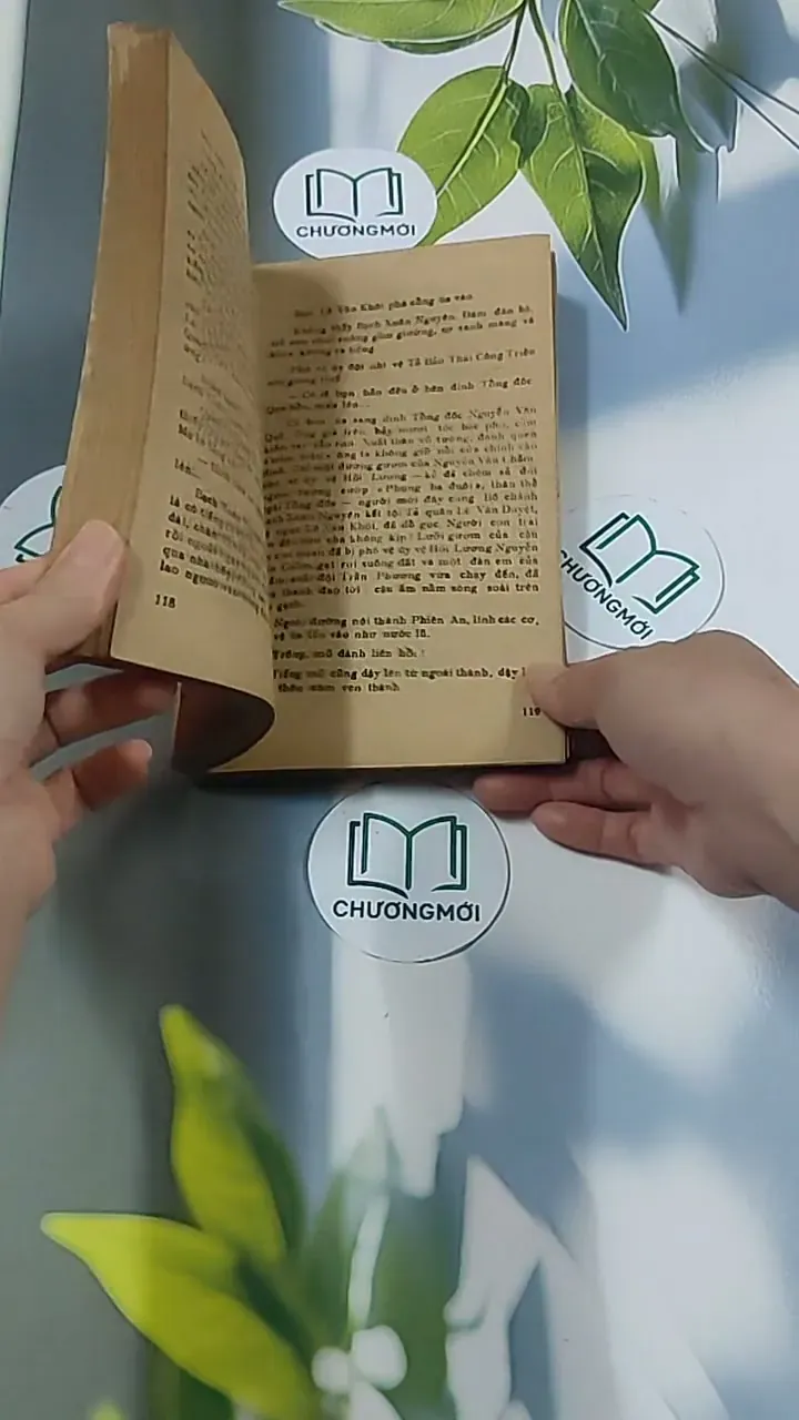 Tuổi Xanh Nguyễn Đình Chiểu (1987) - Thái Vũ 674974