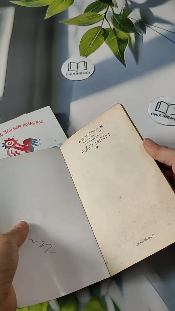 Combo: Khàm Phá Tất Tần Tật Cung Bảo Bình + Mật ngữ 29 ngày Bảo Bình (21/1 - 18/2) 713789