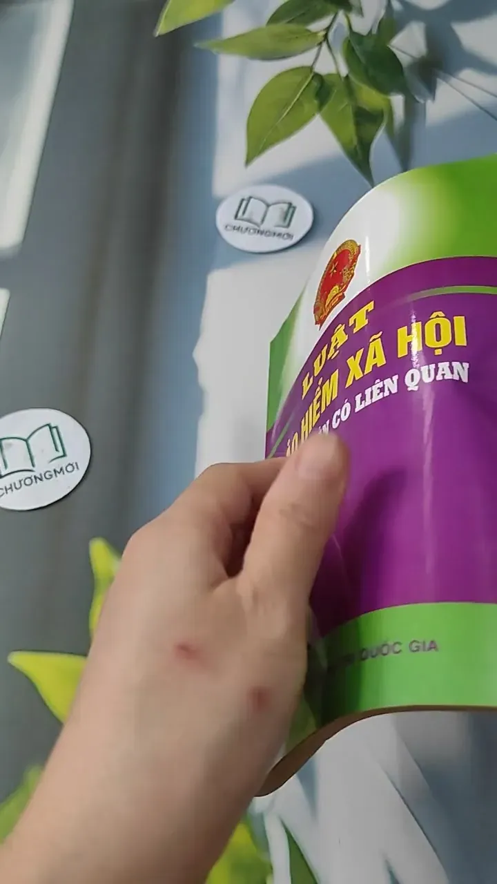 Luật Bảo Hiểm Xã Hội Và Các Văn Bản Có Liên Quan 727237