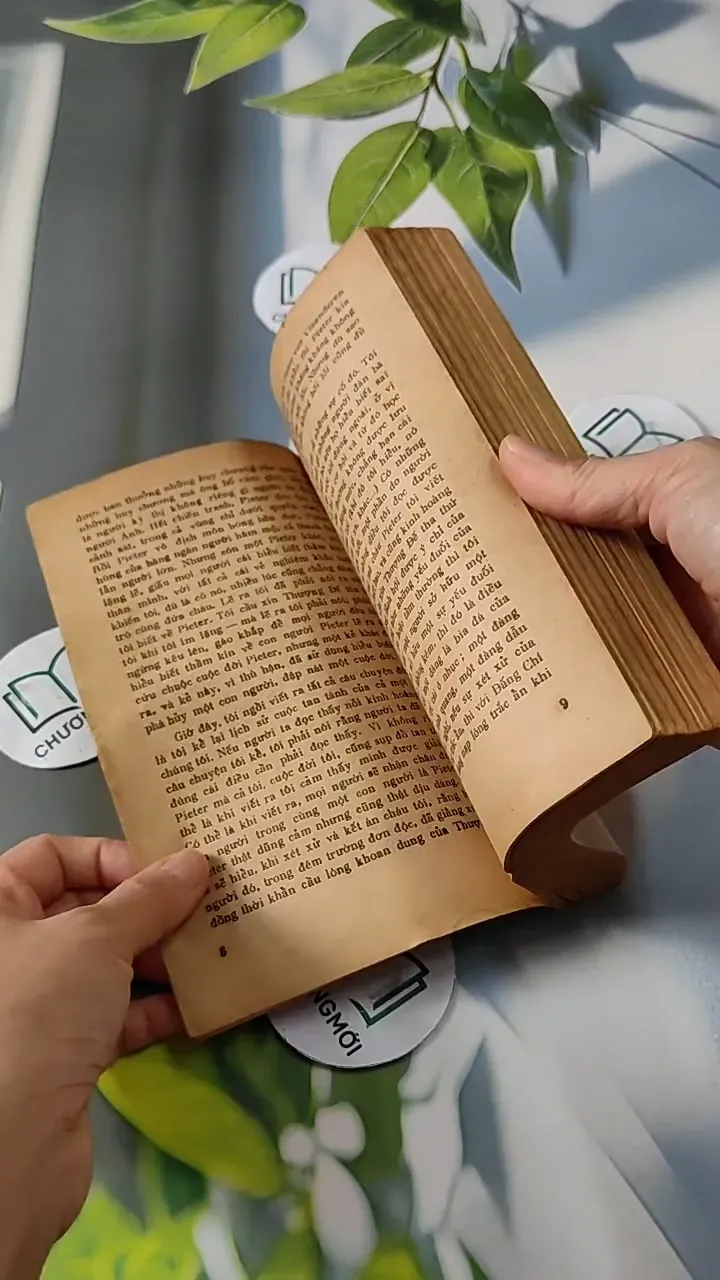 Tuyệt Mù Bóng Chim - Alan Paton 713811