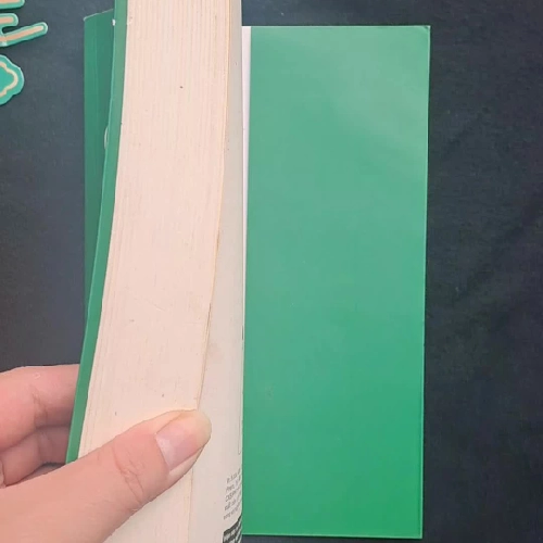 Bắt Trẻ Đồng Xanh - J.D. Salinger 353484