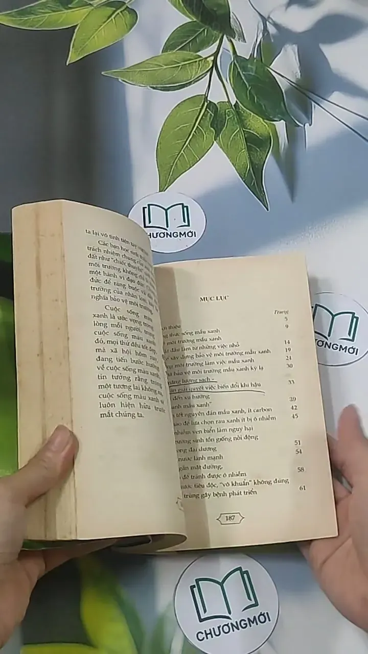 Xây dựng cuộc sống xanh -  Kim Phụng 694915