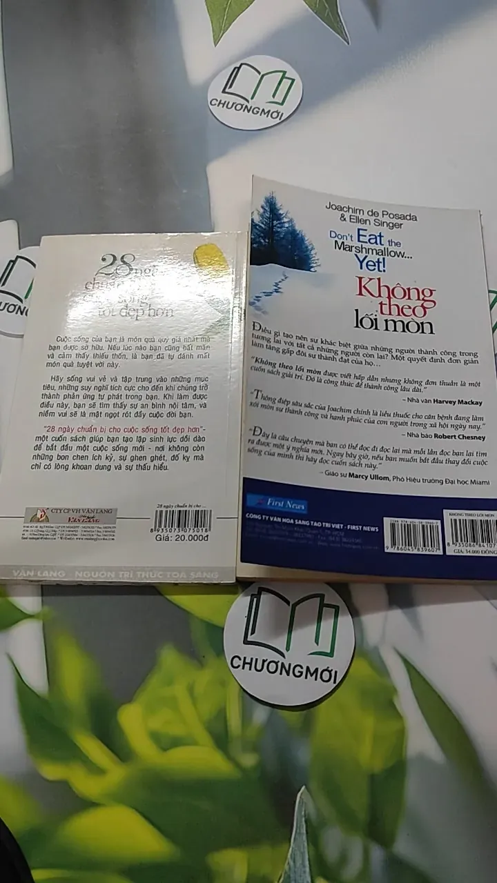 Combo Kỹ năng: Không Theo Lối Mòn, 28 Ngày Chuẩn Bị Cho Cuộc Sống Tốt Đẹp Hơn 787027