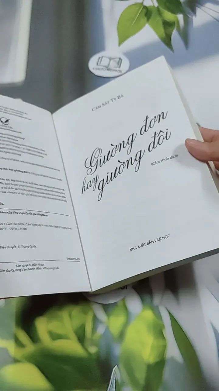 Giường Đơn Hay Giường Đôi - Cầm Sắt Tỳ Bà 744730