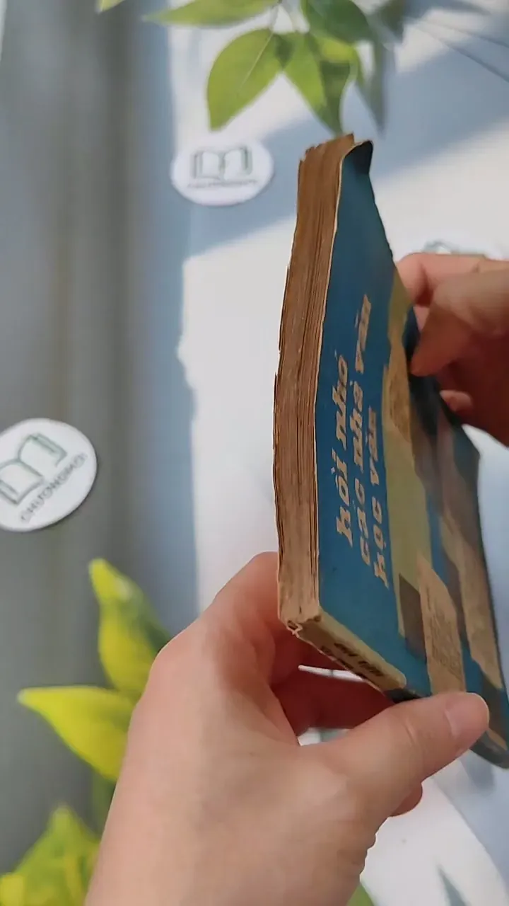 Hồi Nhỏ Các Nhà Văn Học Văn 713828