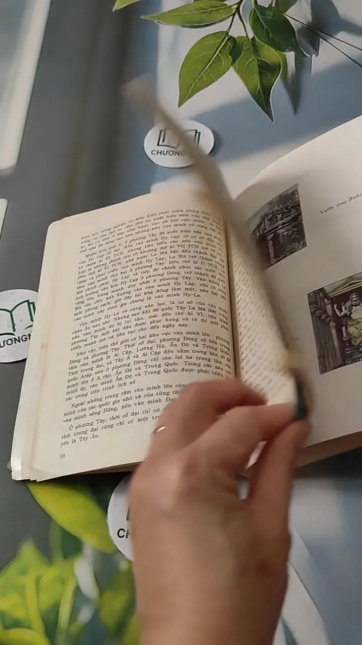 Lịch Sử Văn Minh Thế Giới - Vũ Dương Ninh 727278