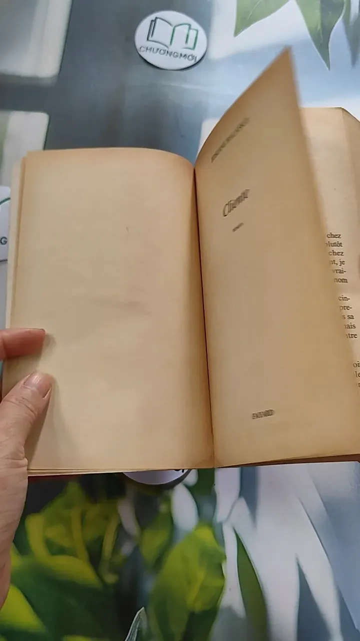 Cliente - Josiane Balasko 754480