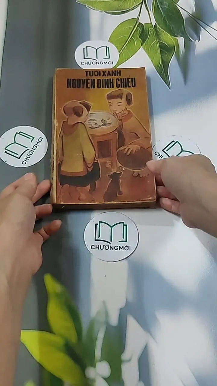 Tuổi Xanh Nguyễn Đình Chiểu (1987) - Thái Vũ 674974