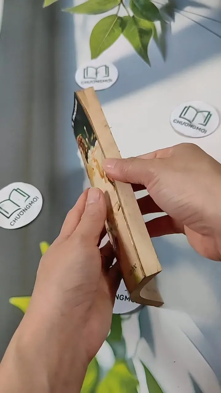 Hội Chợ Phù Hoa - W.M. Thackeray 713825