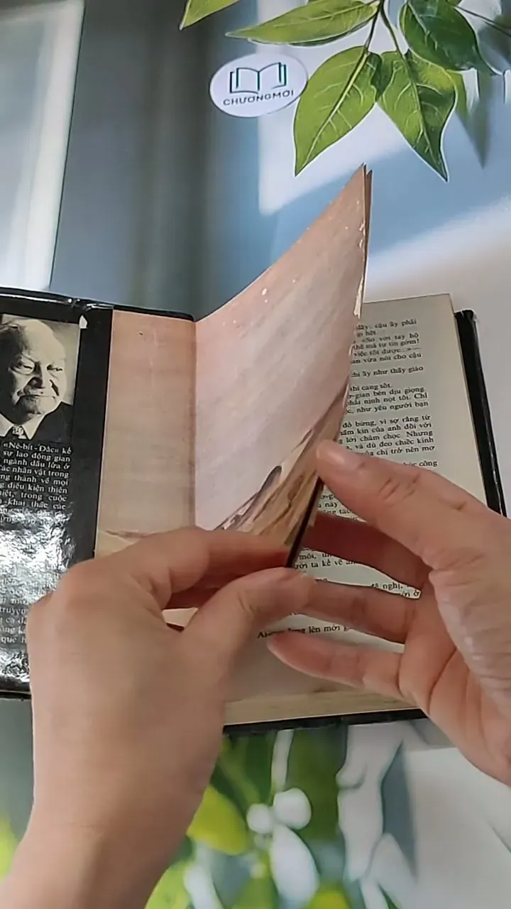 Nê-Bít-Đắc (1983) - Béc-dư Kéc-ba-ba-ep 607736