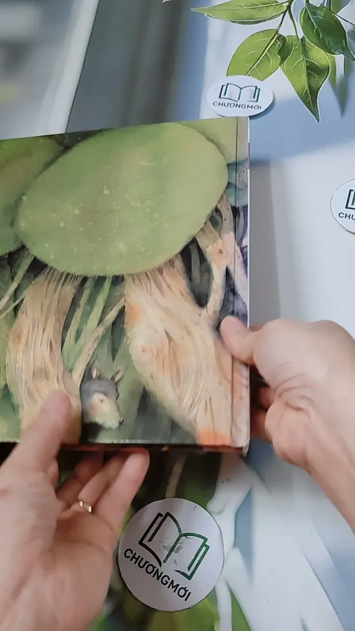 [Tặng nẹp góc] Truyện thiếu nhi Hàn Quốc: Moyamo Anu 22 -  모야모 아누와: 모기는 어떻게 생겨났는가;. 보여요?  732014