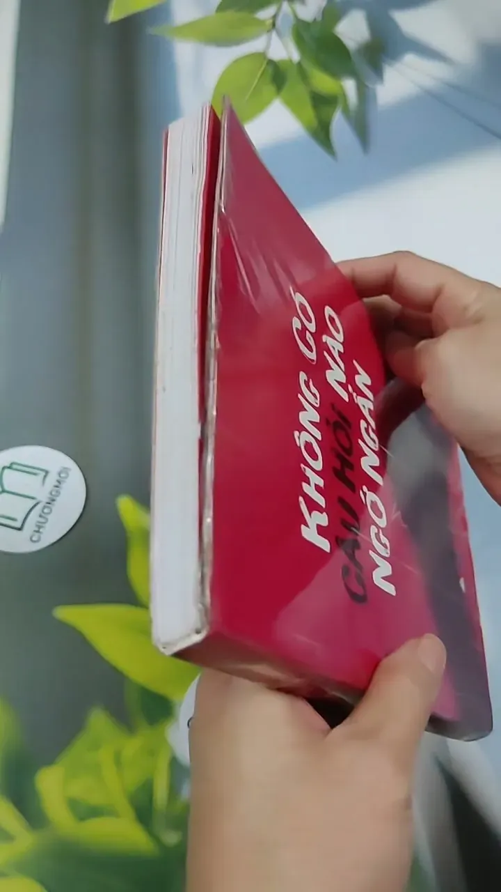 Không Có Câu Hỏi Nào Ngớ Ngẩn 705745