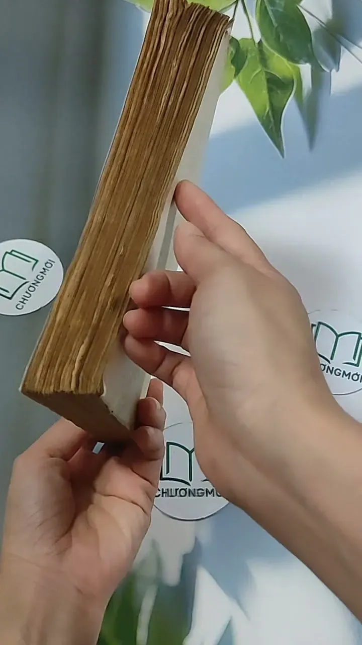 Bức Họa Maja Khỏa Thân (1986) - Samuel Edwards 674968