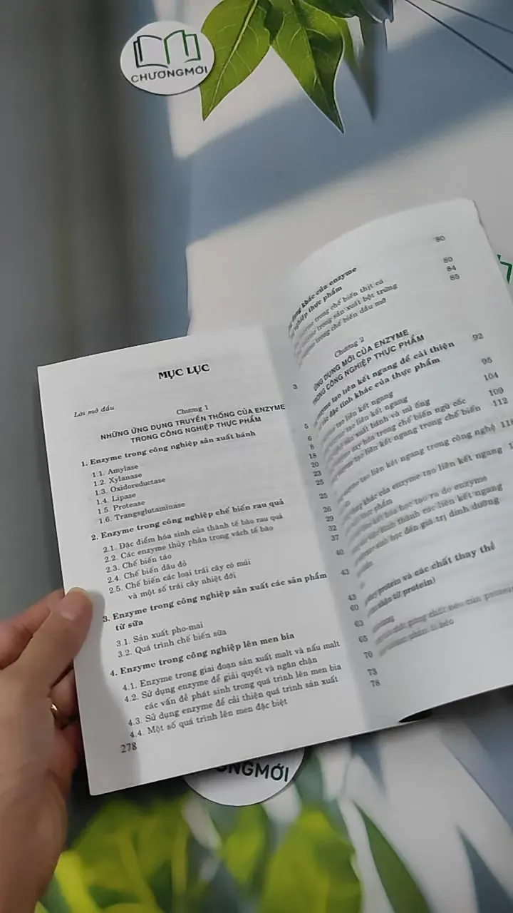Ứng Dụng Enzyme Trong Công Nghiệp Thực Phẩm - Hoàng Kim Anh & Trần Ngọc Hiếu 780872