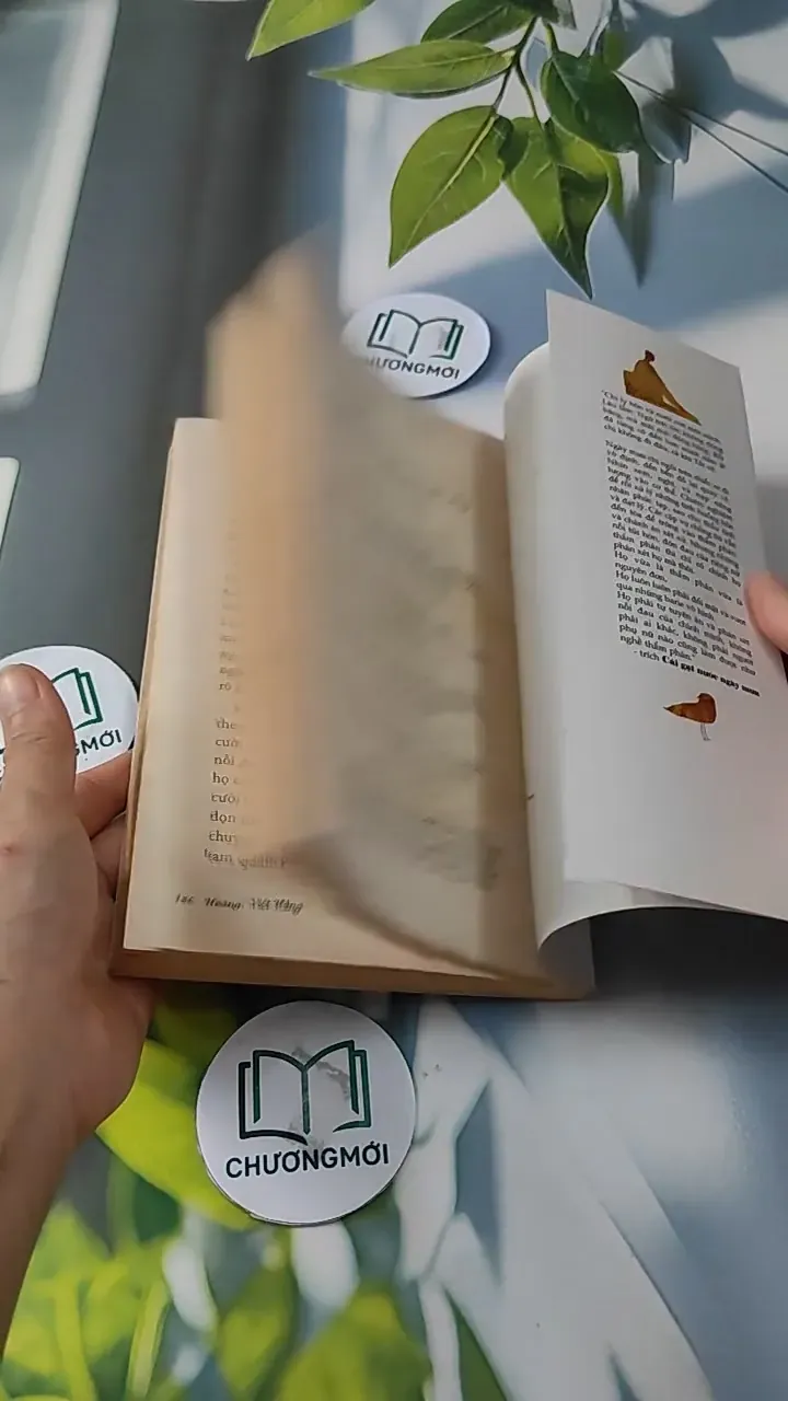 Tiêu Gì Cho Thời Gian Để Sống - Hoàng Việt Hằng 727247