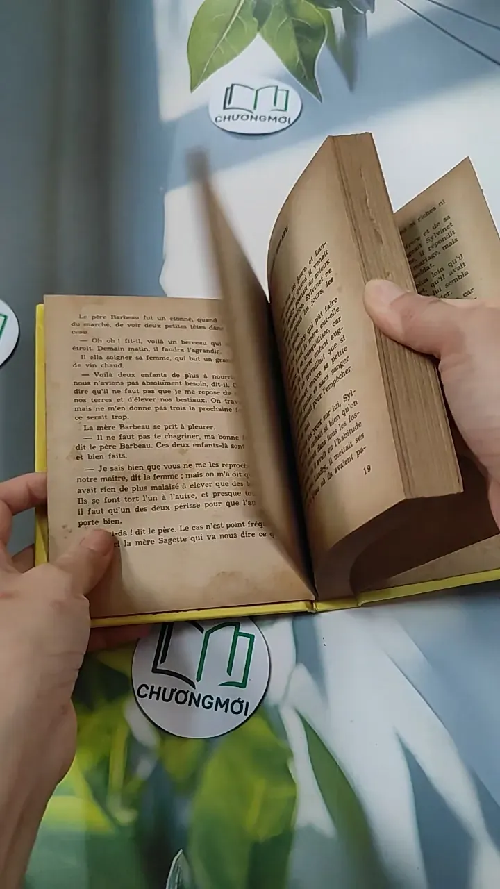 [MIỄN PHÍ BỌC SÁCH] La Petite Fadette - George Sand 749583