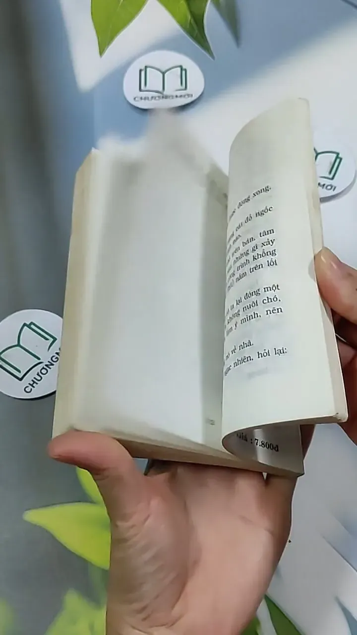 Cậu Bé Bị Lấy Mất Mặt (Tập 1) - Louis Sachar 703150