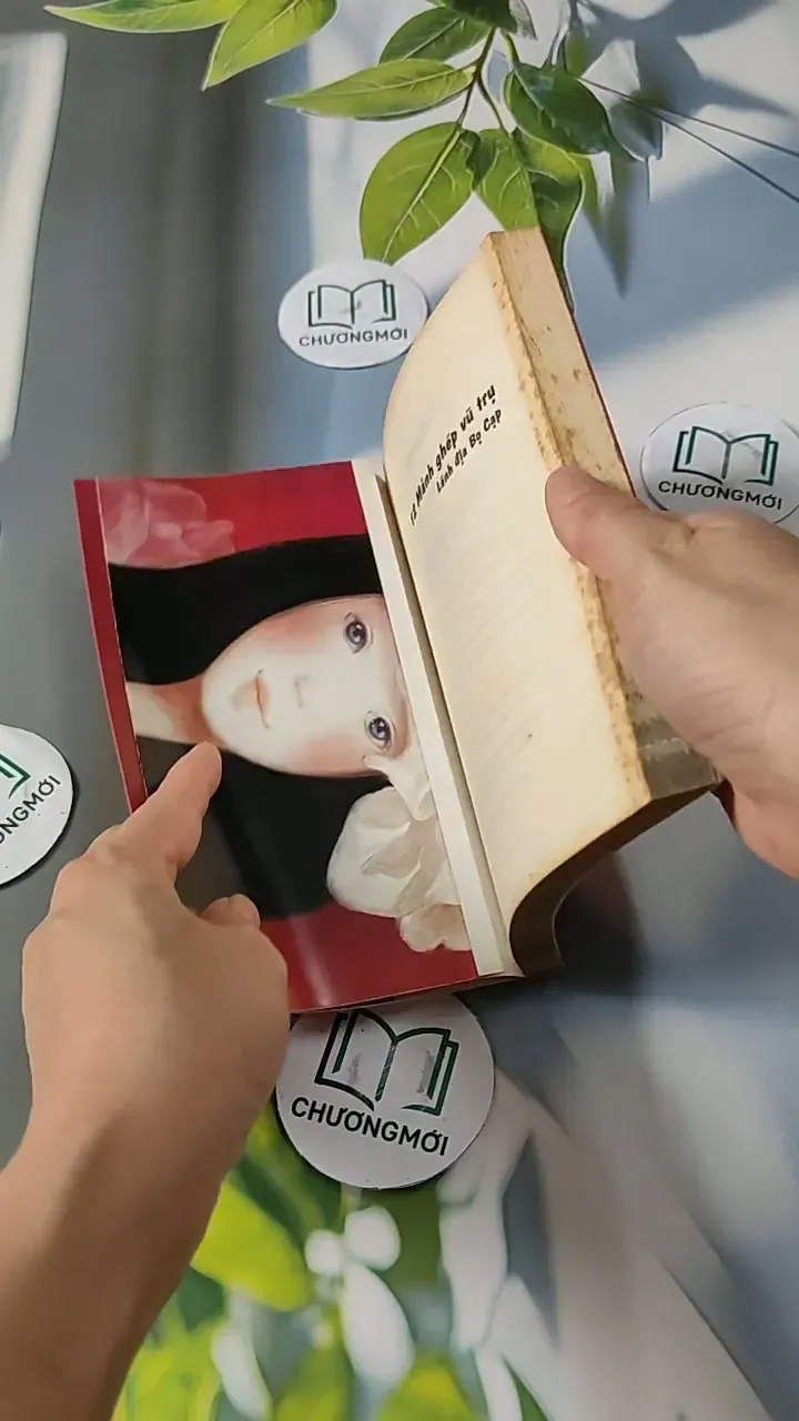 Lãnh địa Bò Cạp - 12 Mãnh Ghép Vũ Trụ 713786