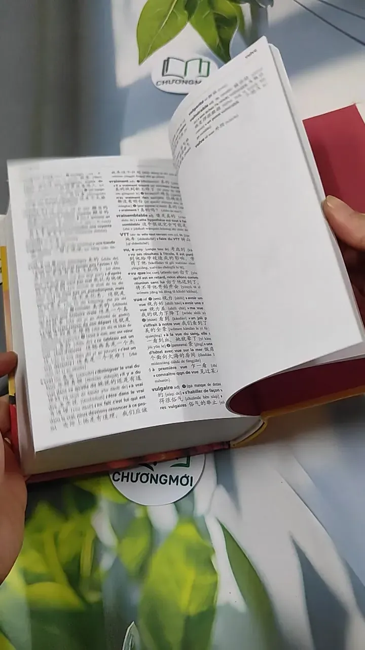 [MIỄN PHÍ BỌC SÁCH] Larousse Poche Plus Chinois 749592