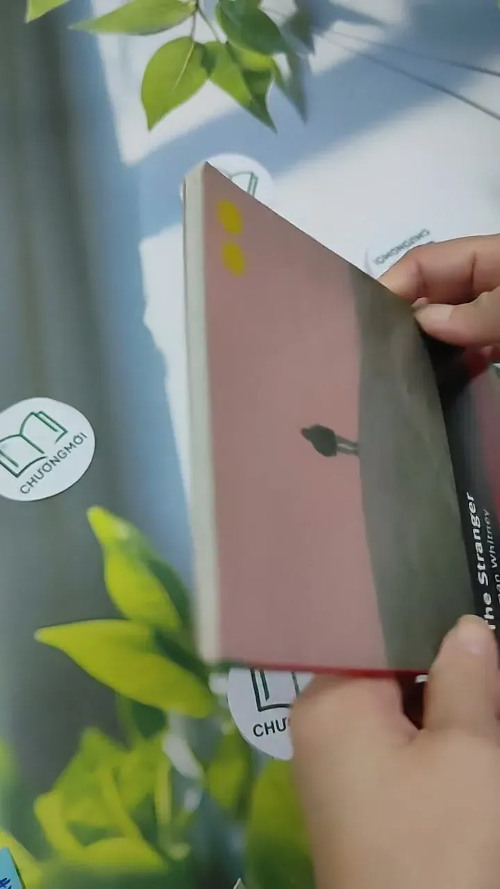 The Stranger - Norman Whitney 707313