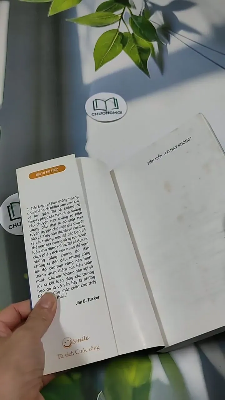 Tiền Kiếp - Có Hay Không? 705673