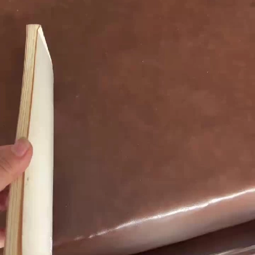 NGUYỄN TRƯỜNG TỘ: CON NGƯỜI VÀ SỰ THẬT- K5