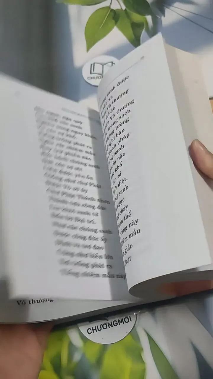 Kinh Kim Quang Minh - Ni Trưởng Như Ấn 715615