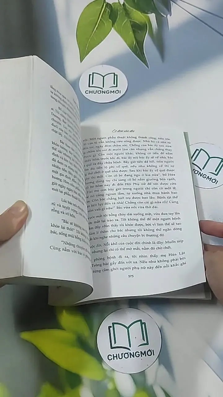 Cô đơn vào đời - Dịch Phấn Hàn 694970