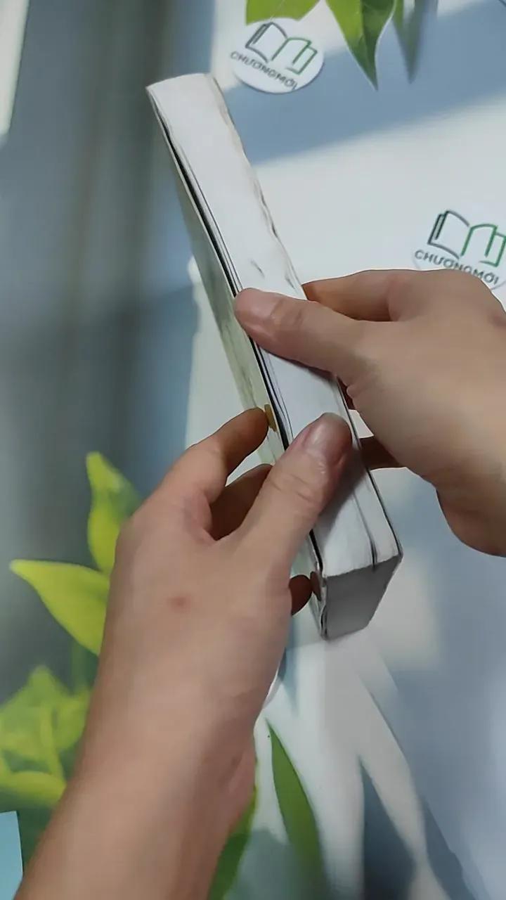 Vài câu chuyện Đạo (Song ngữ Việt - Pháp) 776202