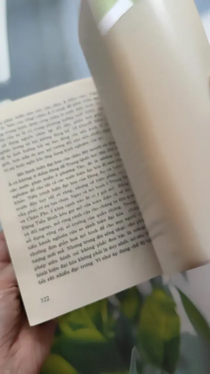 [XƯA] Đi Theo Con Đường Của Chính Mình - Thiết Kế Tổng Thể Về Hiện Đại Hoá Của Trung Quốc (1996) - Du Tân Thiên 787038
