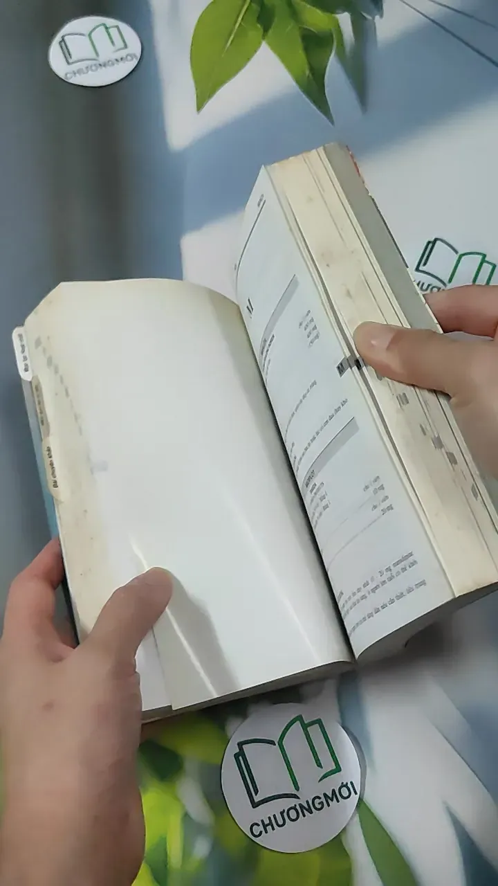 [MIỄN PHÍ BỌC SÁCH] [XƯA] Vidal Giúp Trí Nhớ 1999 (1999) 780901