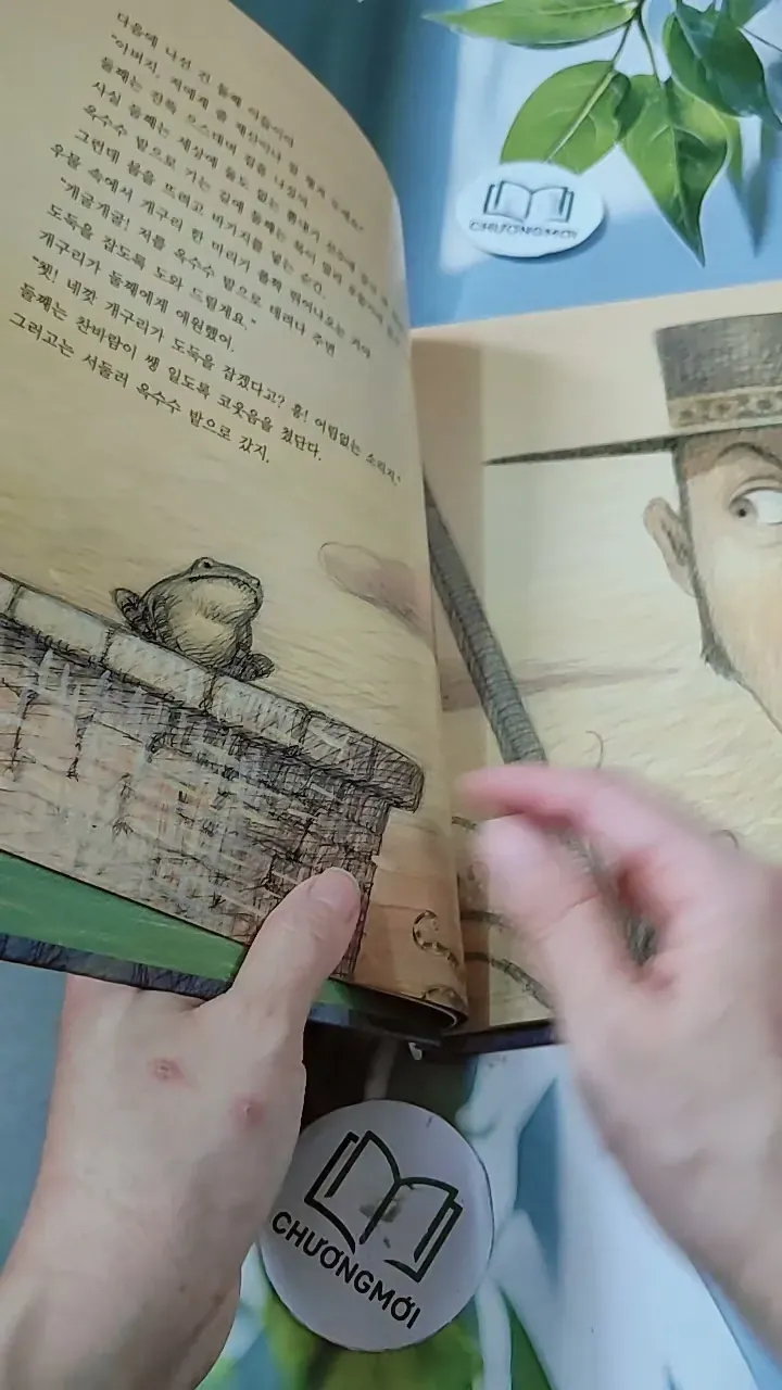 [Tặng nẹp góc] Truyện thiếu nhi Hàn Quốc: Moyamo Anu 23 -  모야모 아누와: 옥수수 도둑;. 회오리바람 732015