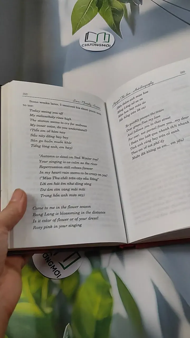 Love Family Career - Tình Yêu Gia Đình Sự Nghiệp - Nguyễn Thị Sơn 749585